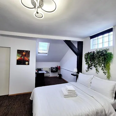 公寓 Boutique Old 7 布加勒斯特